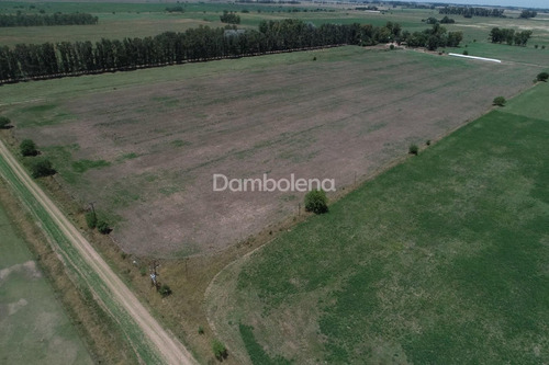 Imagen 20 de 22 de Terreno Campo En Venta Ubicado En General Rodríguez, G.b.a. Zona Oeste