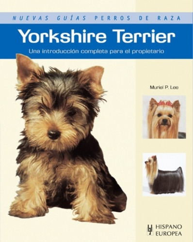 Yorkshire Terrier - Perros De Raza, Muriel, Hispano Europea