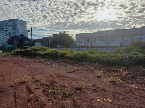 Vendo Terreno Lomás De San Andrés (96190)