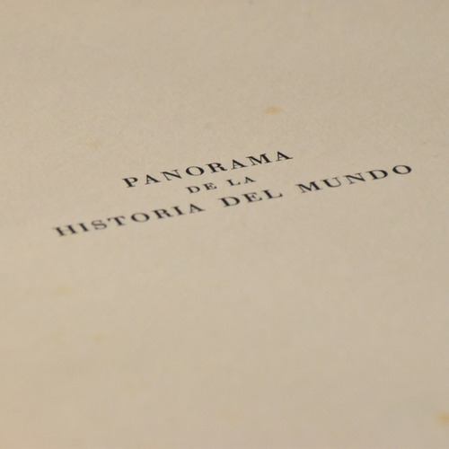Panorama De La Historia Del Mundo (Usado)