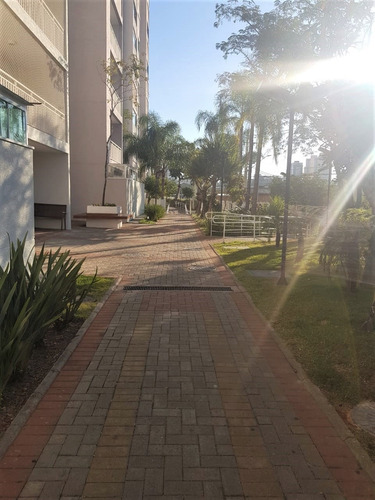 Imagem 13 de 15 de Apartamento, Centro, São Bernardo Do Campo - 1033-20336