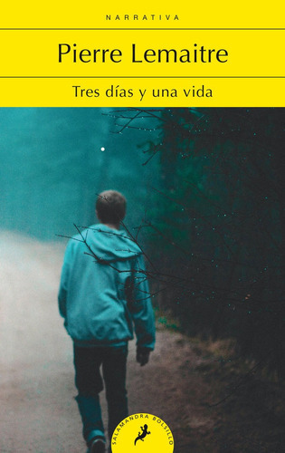Tres Dãâas Y Una Vida, De Lemaitre, Pierre. Editorial Salamandra Bolsillo, Tapa Blanda En Español