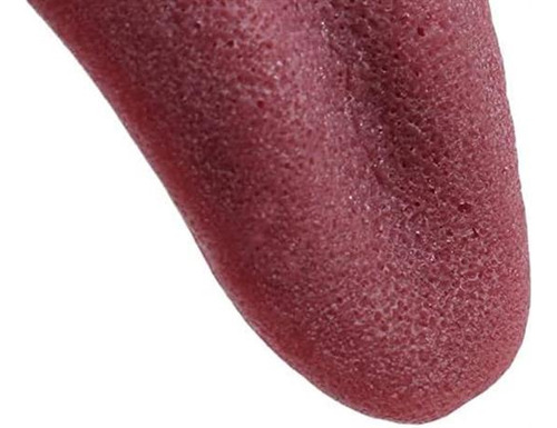2pcs Realistic Fake Tongue Gross Jokes Prank Magic Tricks