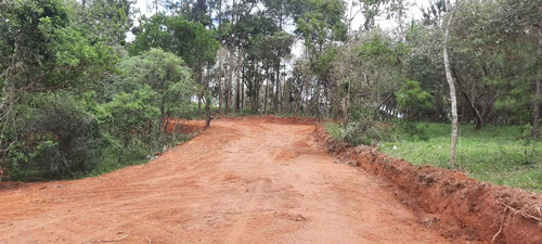 H11 - Sua Terra Esta Aqui