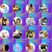 Comprar Pack Canva Pet Shop Templates Editavel 200 Artes + Legendas