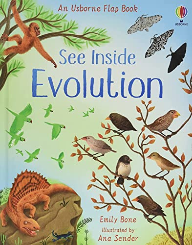Libro See Inside Evolution De Bone, Emily