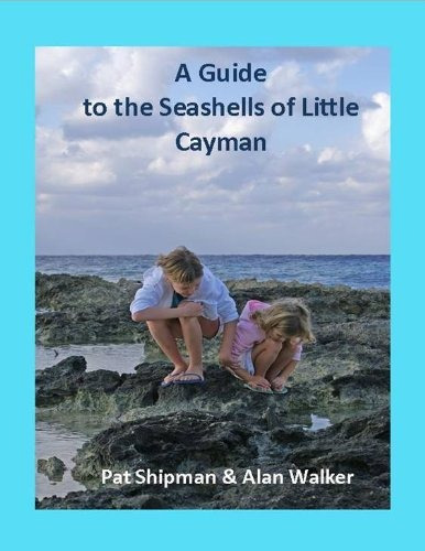 A Guide To The Seashells Of Little Cayman