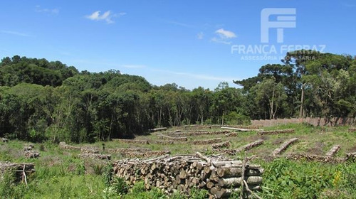 Terreno Comercial À Venda, Canguiri, Colombo. - Te0033