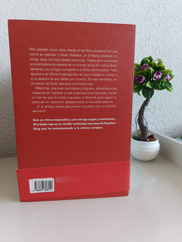 El Triciclo Rojo - Vincent Hauuy (Usado)