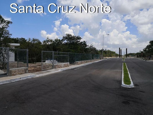 Imagen 17 de 21 de En Venta Terreno De 9 Hectáreas En Mérida Yucatán, Cerca De Periférico