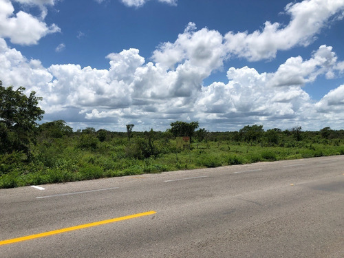 Imagen 14 de 21 de Terreno Sobre Carretera Cercano A Cervecería Vocación Indust