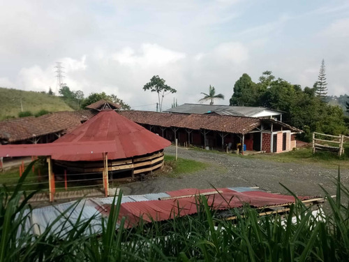 Imagen 13 de 14 de Venta Rancho San Felipe Pesebreras Y Eventos En Manizales