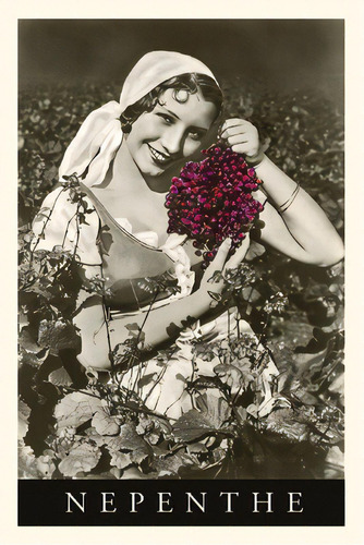 Vintage Journal Peasant Woman With Grapes, Nepenthe, California, De Found Image Press. Editorial Found Image Pr, Tapa Blanda En Inglés