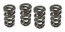 Comprar Blackstone Bks 300 4v Sport \u002F Utility Kit Resortes Valvula  