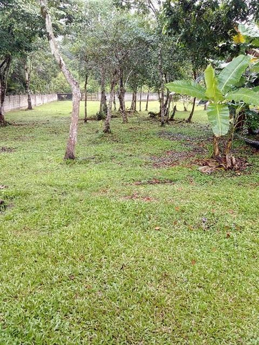 Chácara Murada No Litoral Ref 4327dz