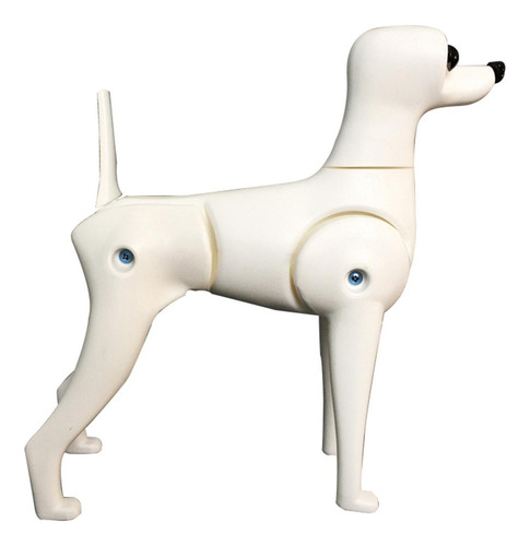 Para Modelo De Cuerpo De Perro Falso Para Salón De De