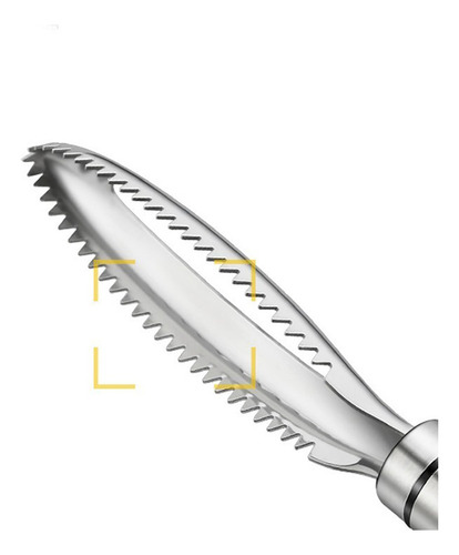 Cepillo De Acero Inoxidable Para Raspar Peces O, Báscula De