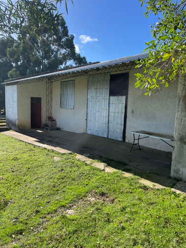 Campo De 11 Hectáreas Dividido En 5 Potreros Excelente Para Ganaderia En Rocha