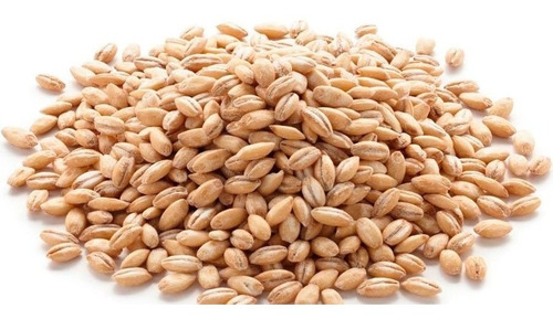 10 Kg De Cebada Perla Excelente Calidad Agroecológico