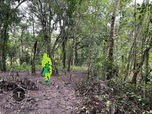 Imagem 2 de 12 de Terreno À Venda Em Itanhaém, Bairro Jardim Coronel Terreno Com 1.000,00 Metros Quadrados Com Possibilidade De Construção De Chácara A 2 Km Da Rodovia - Te00046 - 70369236