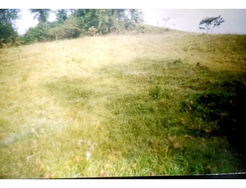 Lote En Venta En Sinaí Manizales | Venta De Lotes