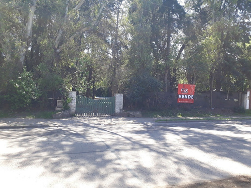Imagen 4 de 8 de Oportunidad Para Inversores En Monte Grande! Lote De 1560 Mt