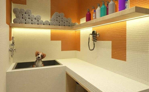 Imagem 14 de 24 de Apartamento À Venda No Bairro Tucuruvi - São Paulo/sp - O-25686-42369
