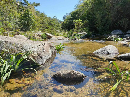 Imagen 3 de 12 de Terreno En Venta Los Pinares El Tuito