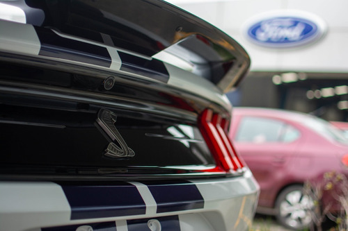 Imagen 15 de 15 de Ford Shelby 2021