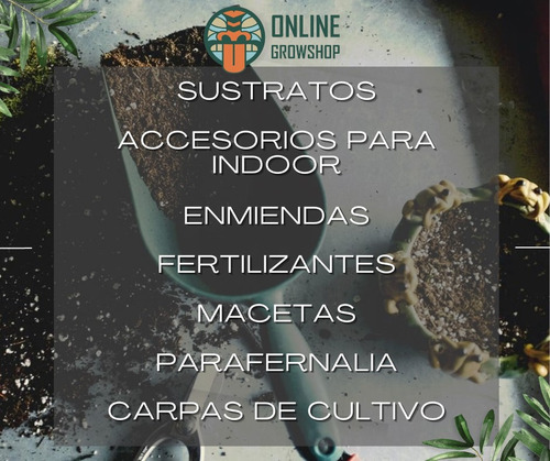 Ocb Unbleached Slim - Online Growshop