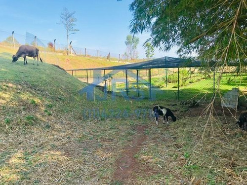 Chácara Com 4 Dormitórios À Venda, 20.000 M² Por R$ 2.800.000 - Parque Da Fazenda Ii - Jundiaí/sp - Ch0038