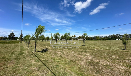 Lote Central En Venta Campos De Roca Ii