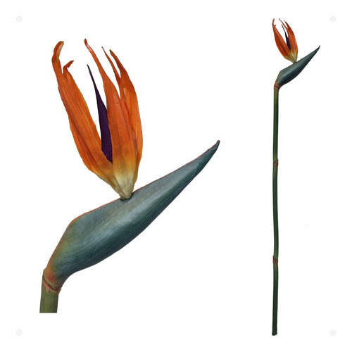 Estrilitzia Estrelicia Artificial Grande 100cm Kit Com 6 Cor Laranja