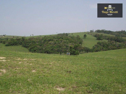 Imagem 4 de 30 de Excelente Fazenda 67 Alqueires - Fa0009