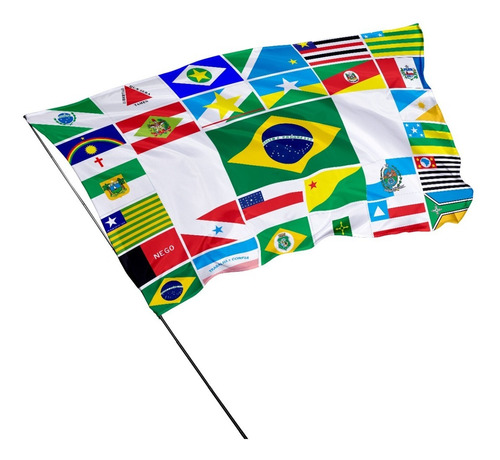Bandeira Estados Brasileiros 1,0m X 70cm Com Bastão 
