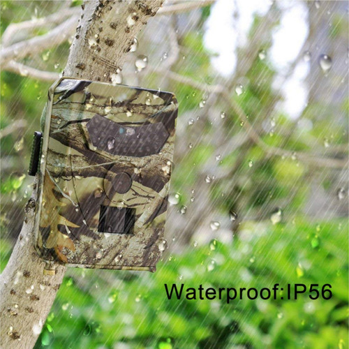 Cámara De Vigilancia Caza Infrarroja Camuflada Usb/pilas Hd