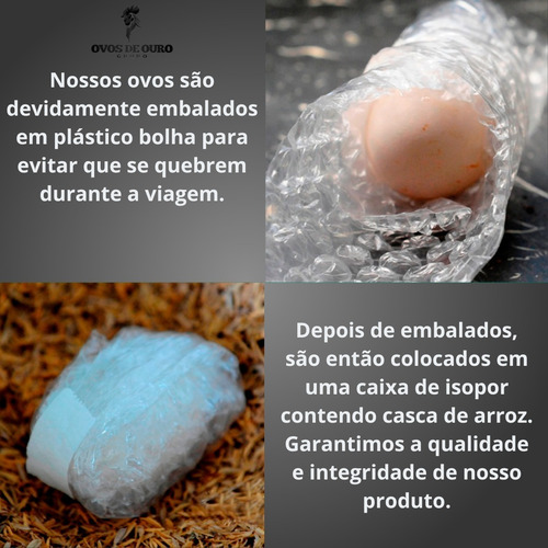 12 Ovos Galados De Polonesa Camurça + 3 De Brinde