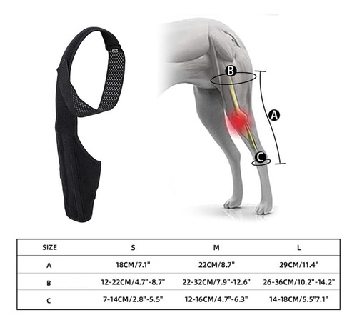 Soporte De Cadera Para Perro Soporte Para Patas Traseras De