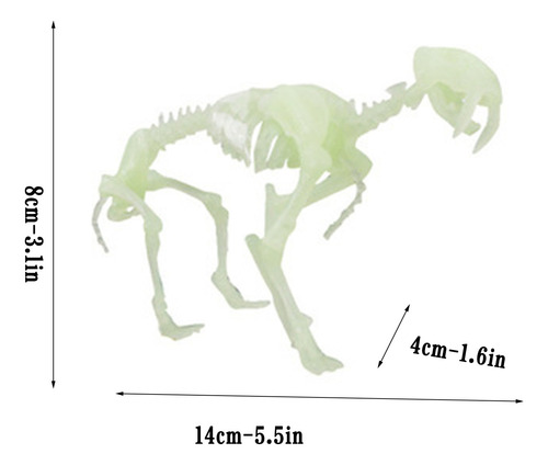 Modelo De Esqueleto De Dinosaurio Esqueleto Humano Brachiosa
