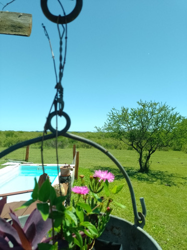 Los Mirasoles Alojamiento.. Un Lugar Para Relax.