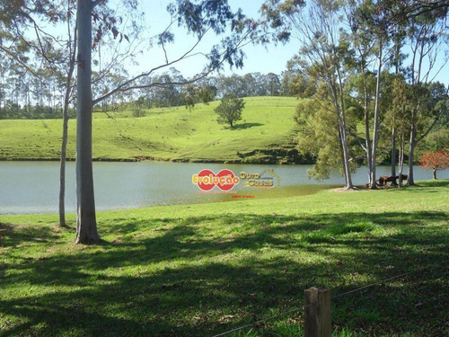 Imagem 10 de 23 de Fazenda - Município Amparo-sp/ Pedreira-sp - Fa0028