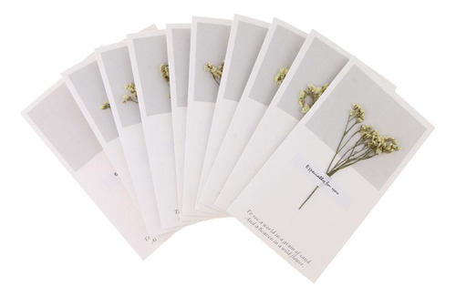 Paquete Flores Secas Tarjetas De Felicitación Amarillo