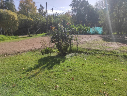 Imagen 20 de 30 de Quinta Hermosa Parquerizada Con 2 Lotes