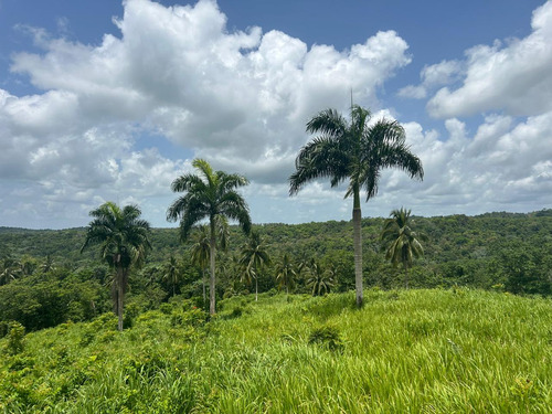 Te Vendo Finca En Hato Mayor Del Rey/republica Dominicana.