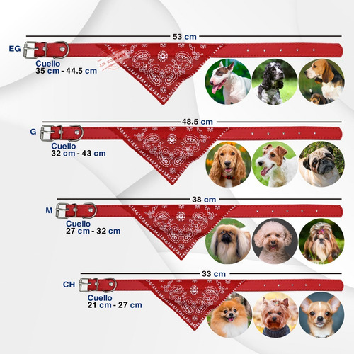 Collar Para Perro Gato Pañuelo Paliacate Tamaños Er Color Negro Tamaño Del Collar Mediana Er-1.5