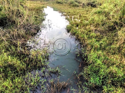 Terreno De 3.900m2 No Setor Vale Do Sol - Aparecida De Goiânia - Te00250 - 68372384
