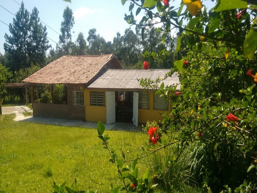 Chácara 5.100 M² - Freguesia Do Mundo Novo - Taquara - Rs - 1392 - 32419913