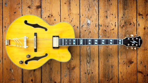 Guitarra Electrica Hollow Ibanez Pm2aa Pat Metheny