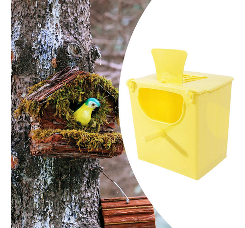 Caja De Reproducción De Aves Amarillo