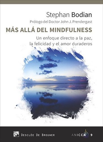 Mas Alla De Mindfulness - Stephan Bodian - Desclee - Libro